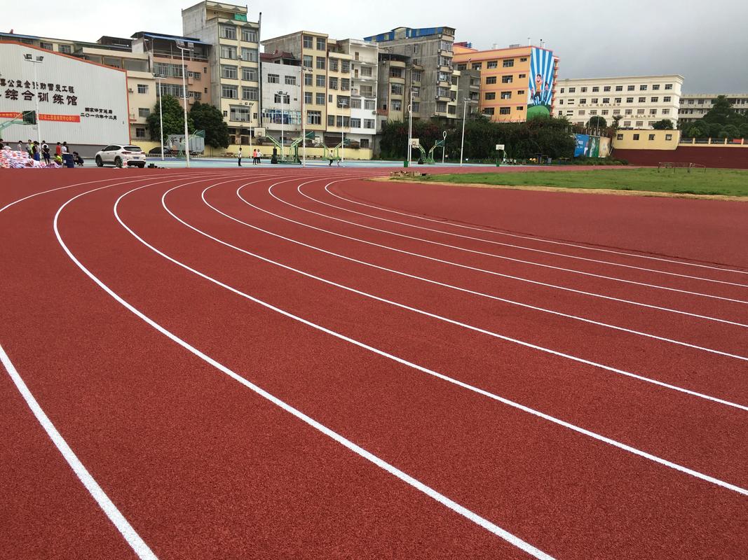 朝阳市塑胶跑道塑胶跑道材料 - 排名
